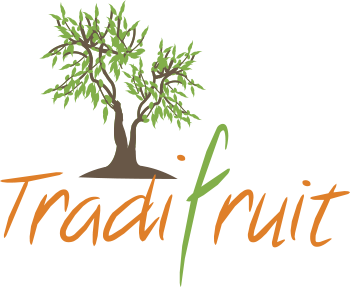 Logo - Tradifruit